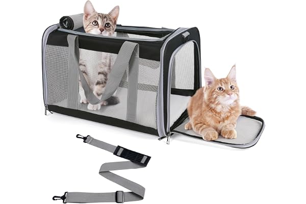 Pet Carrier for Large Cats of 16 Lbs, Collapsible Carrier Bag for Medium Cat or Kittens,Soft Sided Puppy Carrier with Sturdy