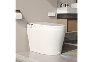 DeerValley Smart Toilet, One Piece Tankless Toilet with Essential Cleaning Modes, Instant Heating, Heated Seat, Warm Air Drye