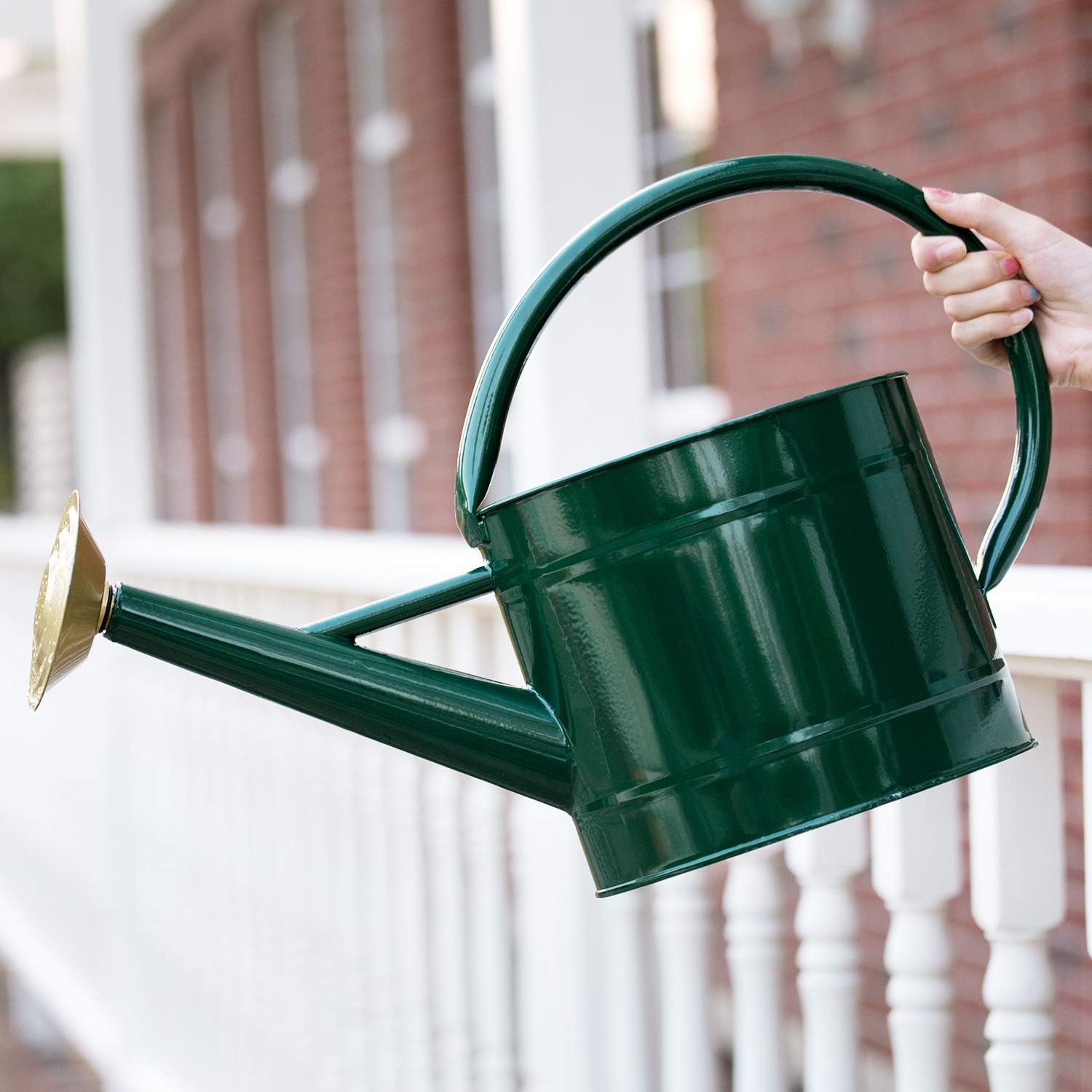 HORTICAN Galvanized Watering Can Modern Style Watering Pot with Handle and Rosehead for Outdoor and Indoor House Plants (1.3 gal/Green) : Garden & Outdoor