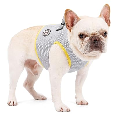 CONTACTS Cooling Vest Harness for Dogs, Breathable Kuwait Ubuy