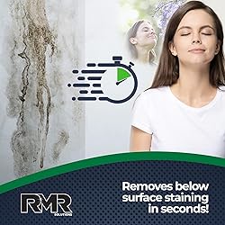 RMR-86 Instant Mold and Mildew Stain Remover Spray