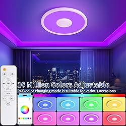 LED Ceiling Light Fixture with Bluetooth