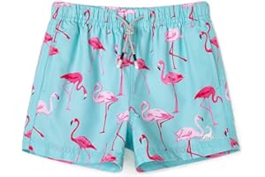 SURF CUZ Boys Swim Trunks Toddler Swim Shorts UPF 50+ Bathing Suit for Boy Swimsuit Quick Dry Mesh Beach Boardshorts Swimwear