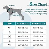 rabbitgoo Dog Harness Small Adjustable No Pull Reflective Easy Control Handle view 2