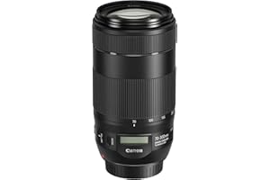 Canon Cameras US EF 70-300 is II USM 70-300mm f/4-5.6 Fixed Zoom Camera Lens, Black (0571C005)