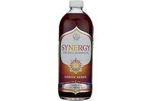 GT'S GTS LIVING FOODS Lemon Berry Kombucha, 48 FZ