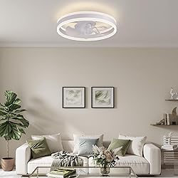 LUDOMIDE Ceiling Fans with Lights and Remote Flush