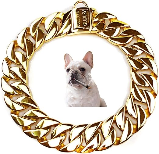 chihuahua chain collar