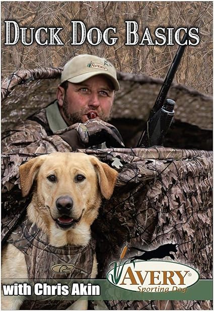 hunting dog equipment