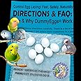 Budgie Dummy Bird Eggs Stop Brooding Laying! 7 Solid Plastic Fake Eggs Parakeet, Parrotlet, Dia Dove DE Brand USA