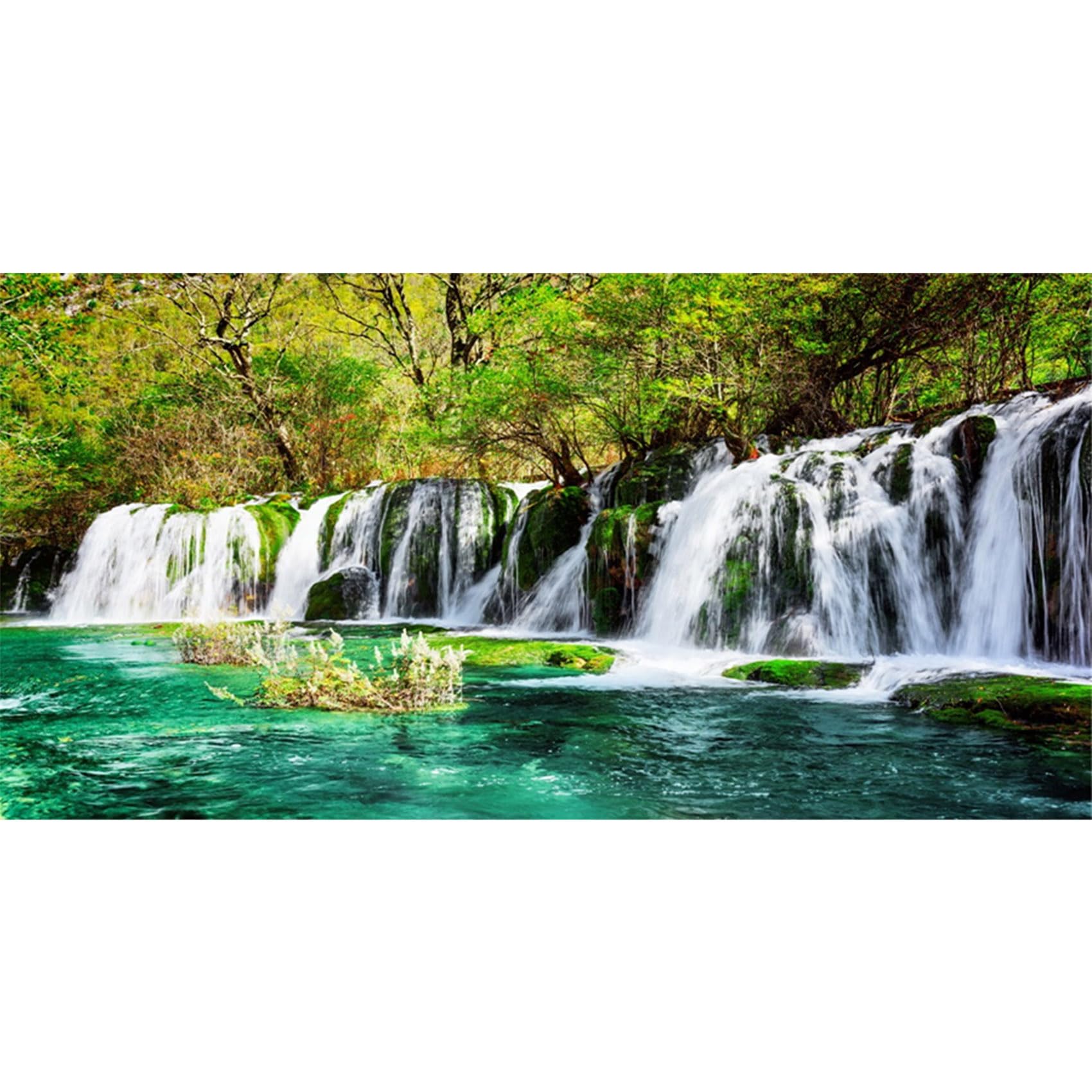 MIRRORANG 120x61cm Waterfall Terrarium Background Tropical Rainforest Aquarium Background Lake Trees Reptile Habitat Background Vinyl Background