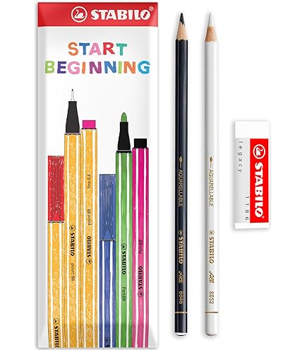 Amazon.com : STABILO Colouring Pencil color - Pack of 24