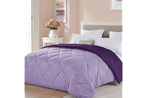 Seward Park Twin XL Size Light Purple Comforter Plum Lavender Reversible Lightweight Girls Cooling Bedding College Dorm Bedspread All Season Fall Blanket