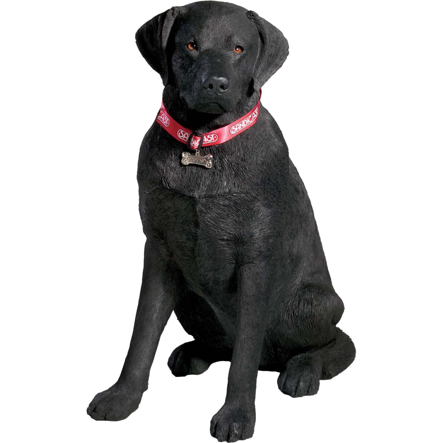 Sandicast Large Life Size Black Labrador Retriever Sculpture, Sitting Amazon.co.uk Kitchen & Home