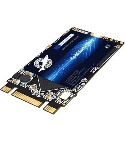 Amazon.com: SSD SATA M.2 2242 500GB Shark Speed Ngff Internal