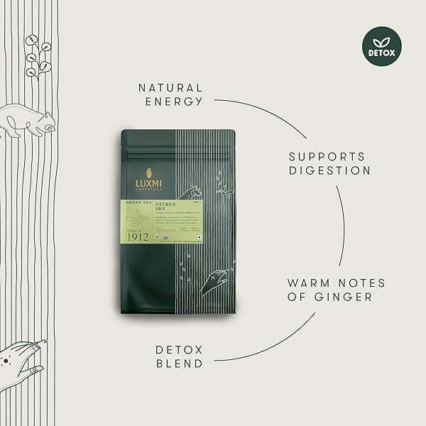 LUXMI ESTATES CITRUS SKY LEMONGRASS GINGER GREEN TEA 50 TEA BAGS (100G) PACK | CERTIFIED ORGANIC DARJEELING GREEN TEA | NATURAL LEMON BALM TEA – CALMING, SUPPORTS DIGESTION | 50 CUPS BULK PACK