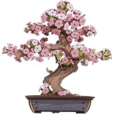 ROBOTIME Sakura Bonsai 3D Puzzles Wooden Artificial Cherry Blossom Tree DIY Model Building Kit for Home Decoration and Office Art Creative Gifts