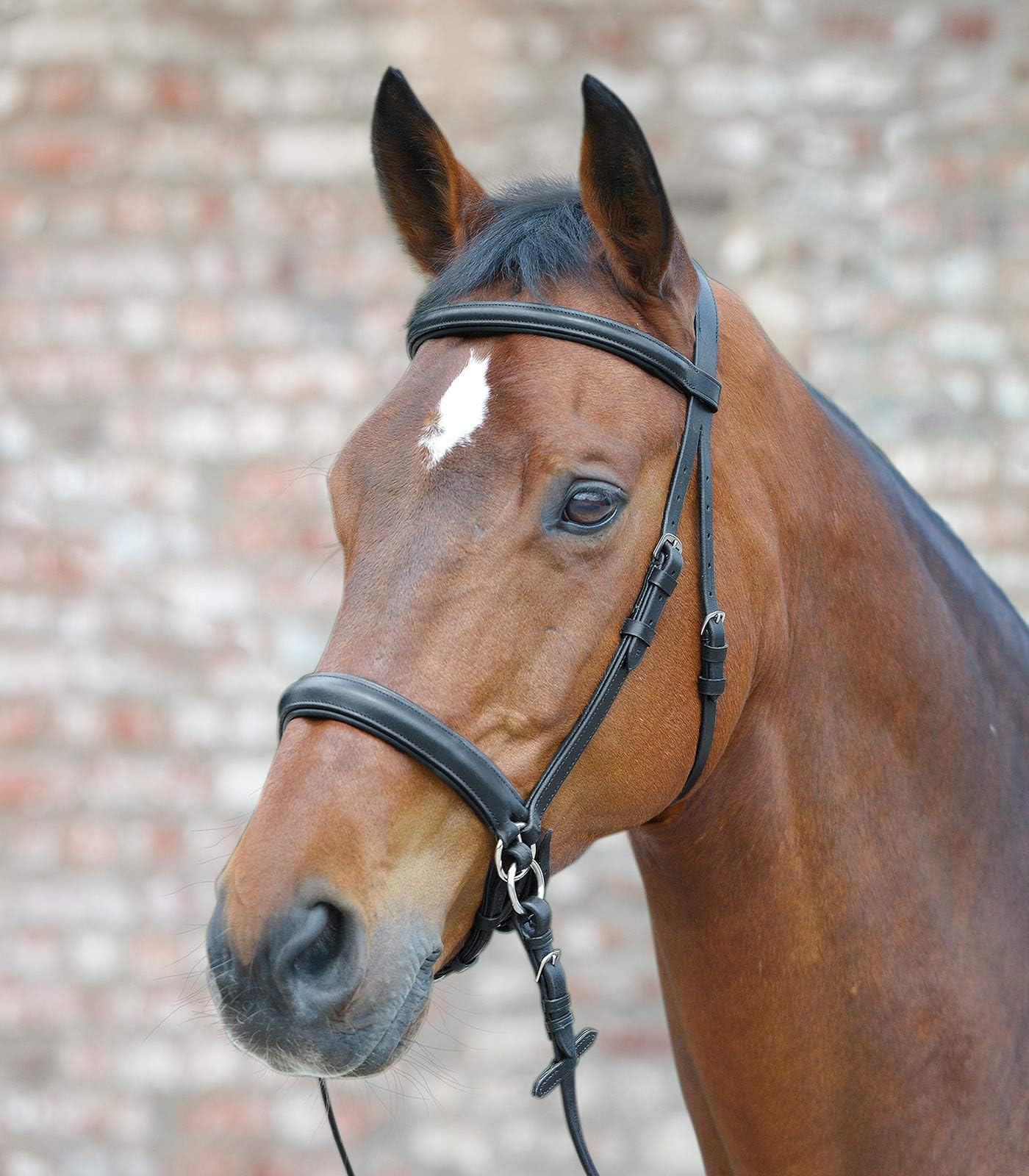 Equipride STAR BITLESS BRIDLE SCRAWBIG STYLE FULL - COB - PONY (FULL)