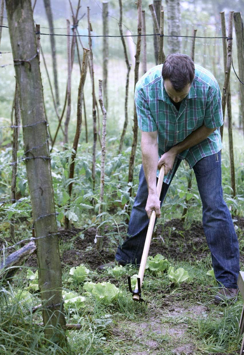 Bellota 228-A C.M. - Azada con mango para agricultura y jardinería ...