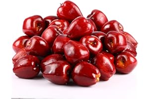 Yunlly 24 Pcs Fake Fruit Artificial Apples Realistic Artificial Fruits Lifelike Decorative Fake Apples Simulation Faux Decor for Home Kitchen Table Basket Decoration(Stylish)