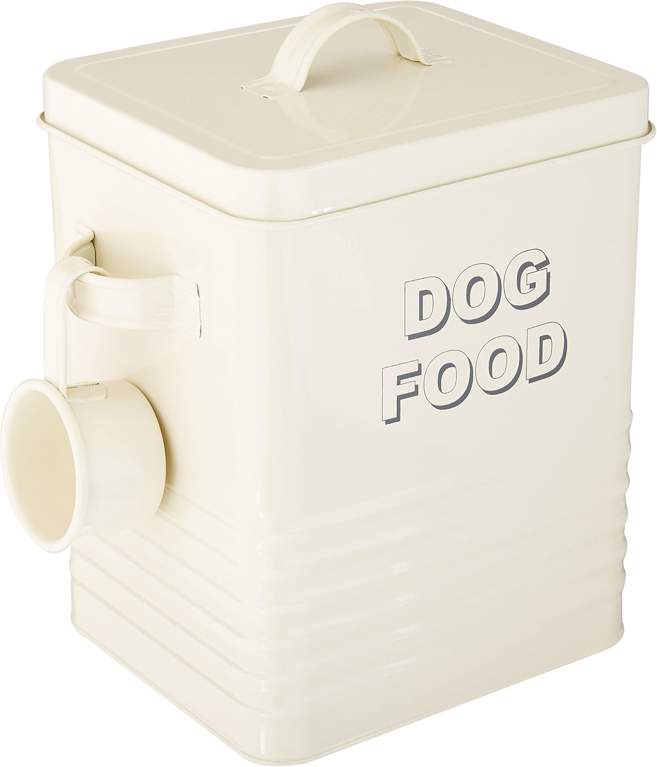 lizards that look like dragons