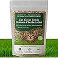 Natural & Non-GMO Pet Grass Seed Blend – 1/2 lb (8 oz / 227 g) | Rye, Wheat, Barley & Oat Mix | Ideal Refill for Indoor Pet G