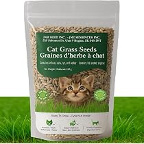 Catit Senses 2.0 Cat Grass Planter with Protective Grid