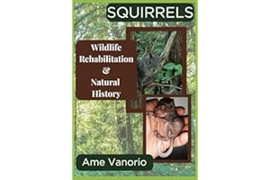 Squirrels: Wildlife Rehabilitation and Natural History
