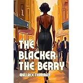 The Blacker the Berry: A Novel of Negro Life