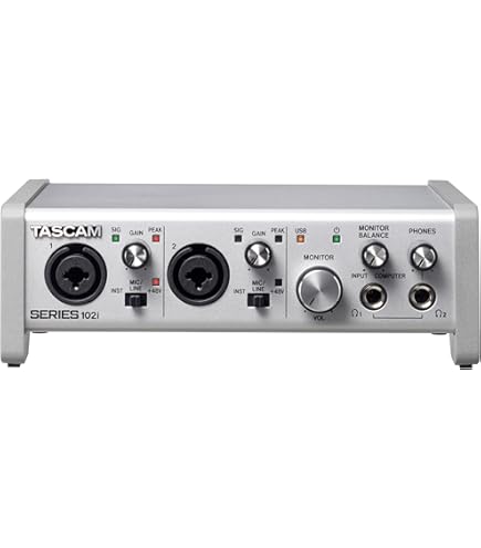Amazon.com: Tascam SERIES 102i 10 IN/2 OUT USB Audio Interface
