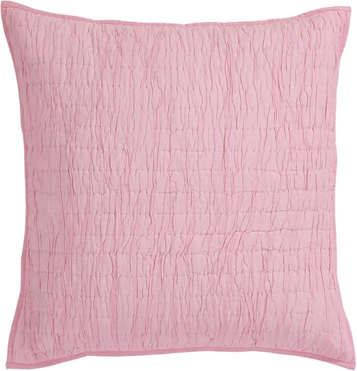 Amazon Com Vhc Brands Rochelle Quilted Euro Sham Home Kitchen