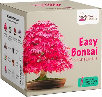 Grow Buddha Grow Your Own Bonsai Starter Kit – 4 Trees for Beginners