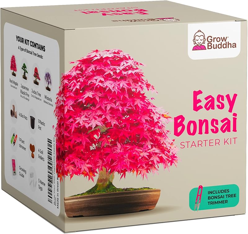 Grow Buddha Grow Your Own Bonsai Starter Kit – 4 Trees for Beginners