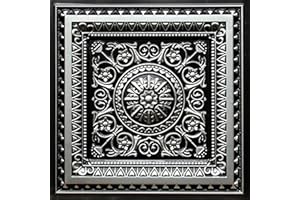 FROM PLAIN TO BEAUTIFUL IN HOURS La Scala-Faux Tin Ceiling Tile - Antique Silver 25-Pack