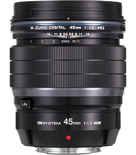 Amazon.com : Olympus M Zuiko 17mm f1.2 PRO Lens, Black (Renewed