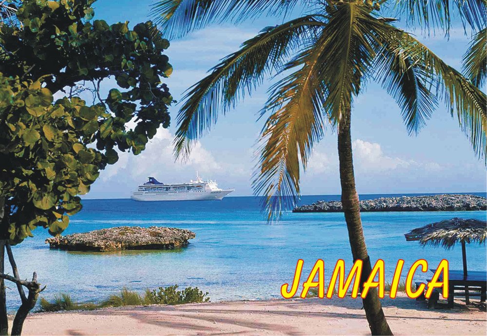 The 9 Best Jamaica Refrigerator Magnet