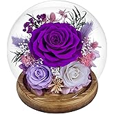 Preserved Roses Forever rose in glass dome - Birthday Gifts for Women Mom, Real Flowers for Delivery Prime | Rose Gift for Grandma Wife Sister Friend(Mix purple)