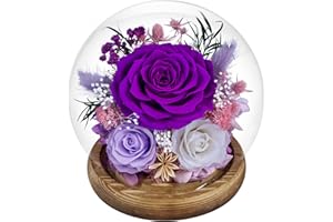 COOEACH Preserved Roses Forever rose in glass dome - Birthday Gifts for Women Mom, Real Flowers for Delivery Prime | Rose Gift for Grandma Wife Sister Friend(Mix purple)