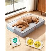 OhGeni Orthopedic Small Dog Bed, Reversible Memory Foam, 24 inch-S(Gray) | Waterproof Top Layer with Machine-Washable Removable Cover in Easy-Clean Fabric, Easy-Carry Handle, Suitable for Crate