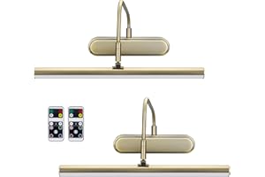 RAIFOOLLY Picture Light Battery Operated, 2 Colors Art Lights for Paintings,Wireless Wall Light,Remote Control Painting with Timer and Dimmable for Frame, Portrait, Dartboard (Antique Brass)