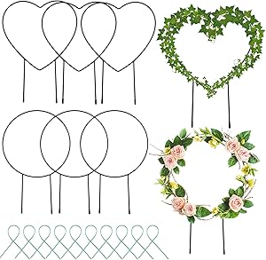6 Pieces Black Metal Garden Trellis Circle and Heart-Shaped Trellis Plant Vine Stem Support Wire Metal Garden Trellis with 10 Plant Twist Tie for Plants Climbing Potted Garden Stem Stalks Vines