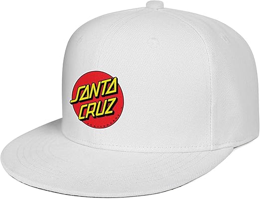 santa cruz skateboards hat