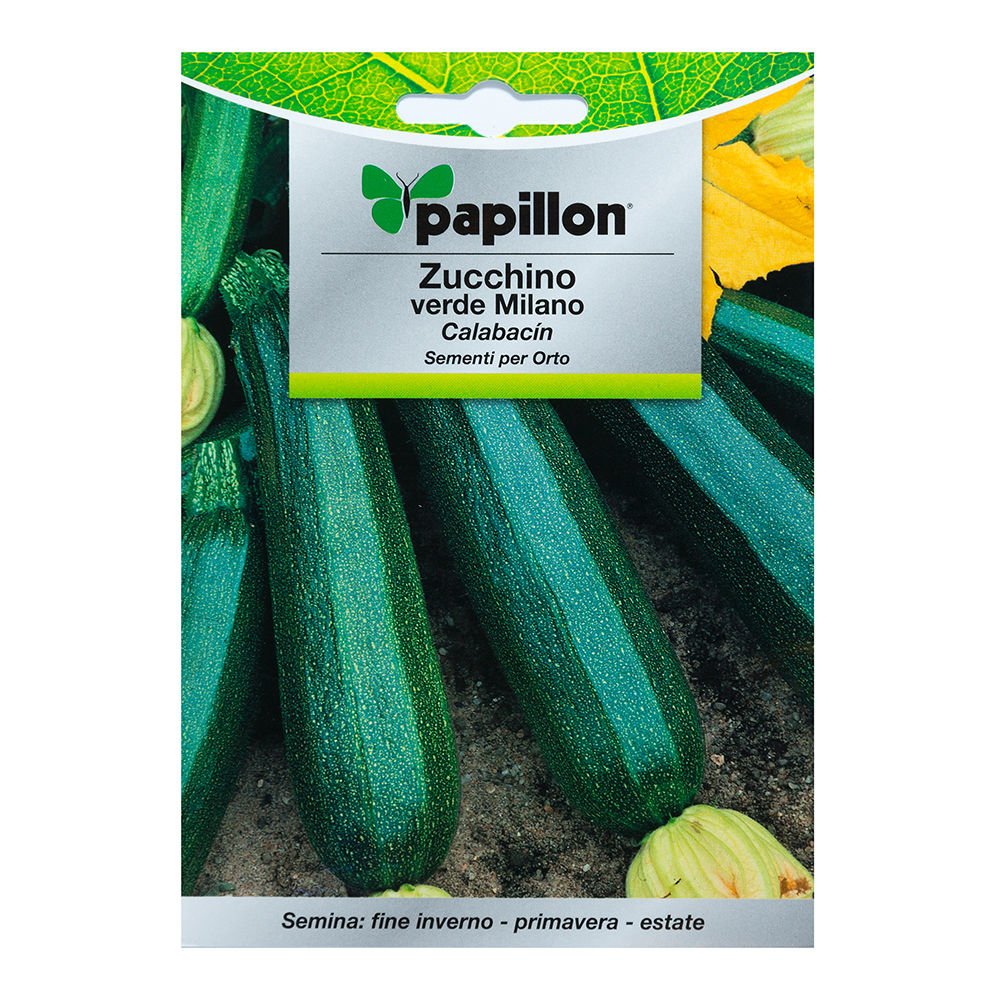 Semillas Calabacin Verde Oscuro (5 Gramos): Amazon.es: Jardín