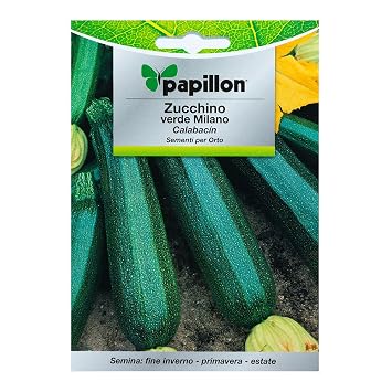 Semillas Calabacin Verde Oscuro (5 Gramos): Amazon.es: Jardín