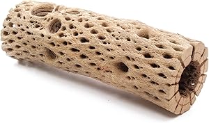 My Pet Patrol 3 to 48 Inch All Natural Teddy Bear Cholla Wood Extra Hollow Large Untreated Organic Aquarium Driftwood Decoration Chew Toy Shrimp Crab Multi-Quantity