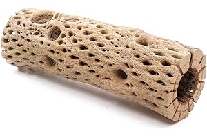 MY PET PATROL 3, 6, 9, 12 Inch All Natural Teddy Bear Cholla Wood Extra Hollow Untreated Organic Aquarium Driftwood Decoration Chew Toy Shrimp Crab Cichlid Nano Tank Birds 1 or 5 Pieces (1 Piece, 9 inch)