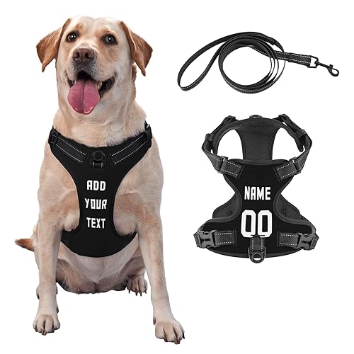Customized Football Pet Harness, Personalized Dog Harness with