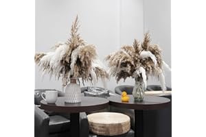 ROOLLYA 30 Stems Boho Decor - Dried Pampas Grass, Fluffy Brown & White Pampas Grass Fluffy, Dry Short Flowers Small Pampas Bulk for Home Decor, Home Decor, Wedding Decor, Gift(17.7 inch, 15 Brown & 15 White)
