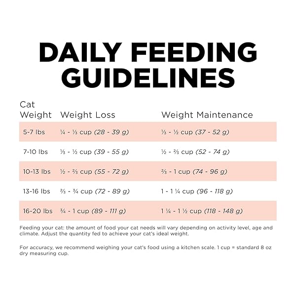 GO! SOLUTIONS WEIGHT MANAGEMENT + JOINT CARE, GRAIN-FREE DRY CAT FOOD, SALMON RECIPE, 6 LB BAG