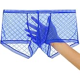 JINSHI Men's Mesh See Through Boxers Briefs,Sexy sheer lace underwear,Bulge Pouch boxer trunk,Ultra-thin